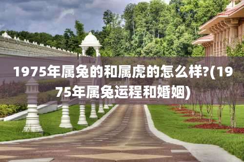 1975年属兔的和属虎的怎么样?(1975年属兔运程和婚姻)