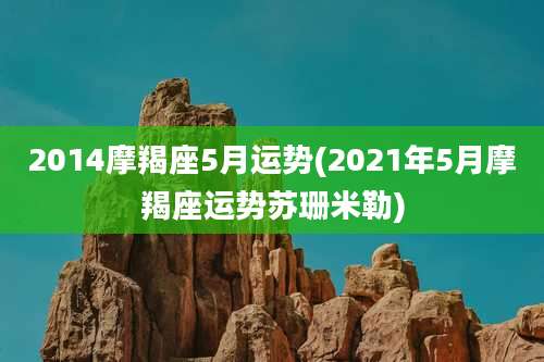 2014摩羯座5月运势(2021年5月摩羯座运势苏珊米勒)