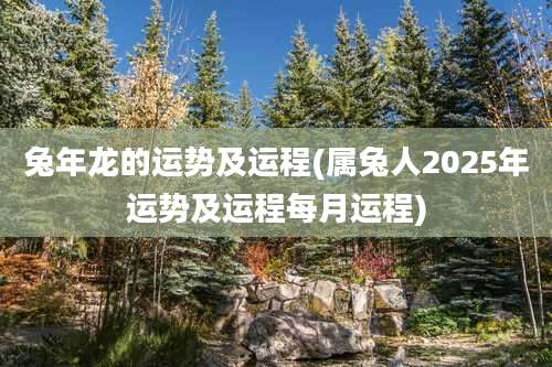 兔年龙的运势及运程(属兔人2025年运势及运程每月运程)