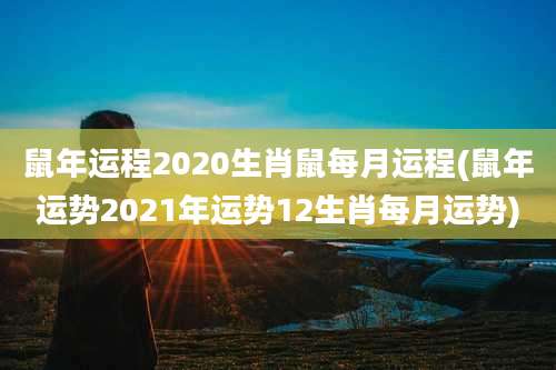 鼠年运程2020生肖鼠每月运程(鼠年运势2021年运势12生肖每月运势)