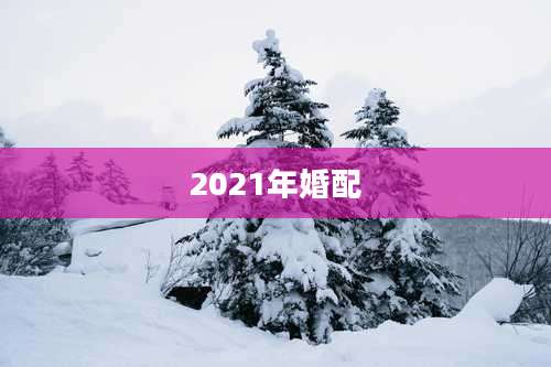 2021年婚配