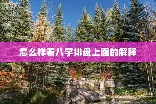 怎么样看八字排盘上面的解释