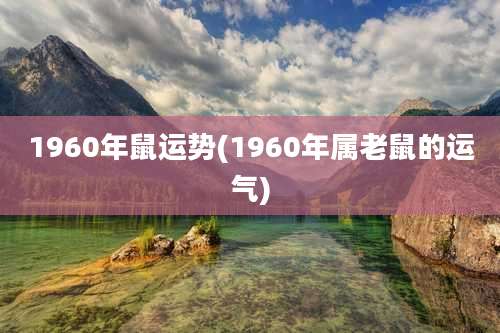 1960年鼠运势(1960年属老鼠的运气)