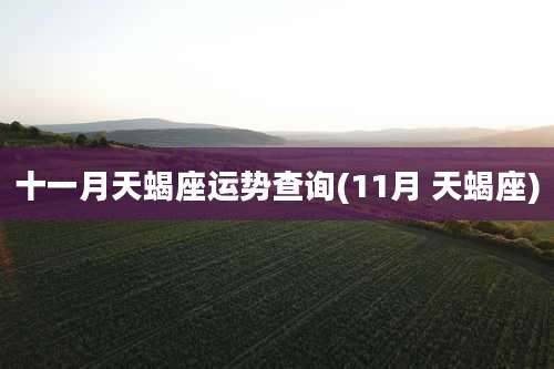 十一月天蝎座运势查询(11月 天蝎座)
