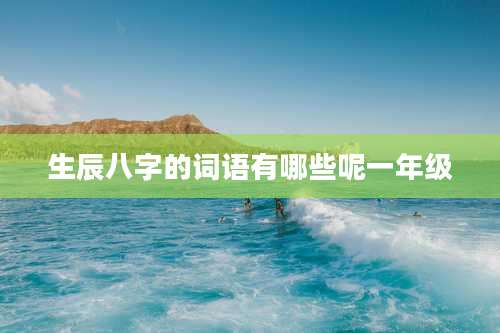 生辰八字的词语有哪些呢一年级