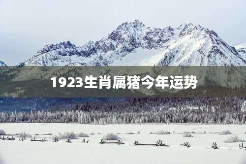 1923生肖属猪今年运势
