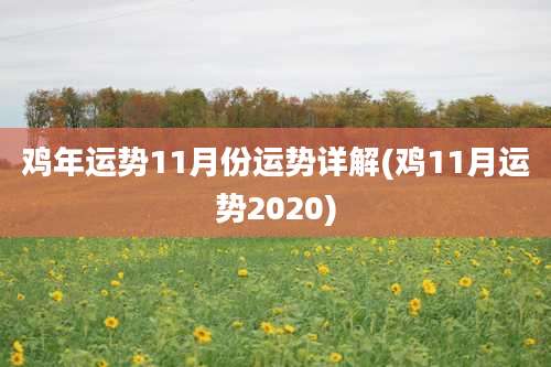鸡年运势11月份运势详解(鸡11月运势2020)