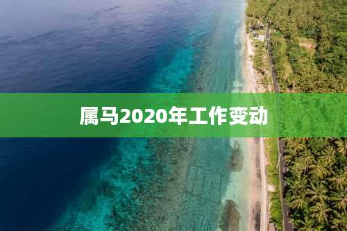 属马2020年工作变动