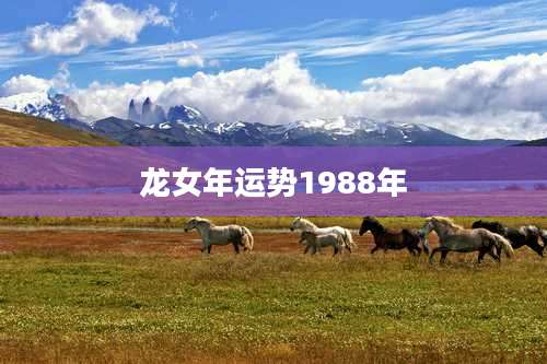 龙女年运势1988年