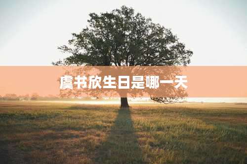 虞书欣生日是哪一天