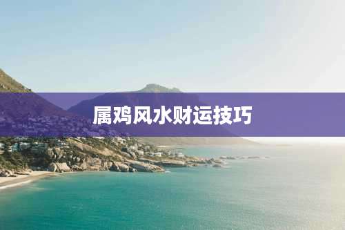 属鸡风水财运技巧