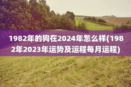 1982年的狗在2024年怎么样(1982年2023年运势及运程每月运程)