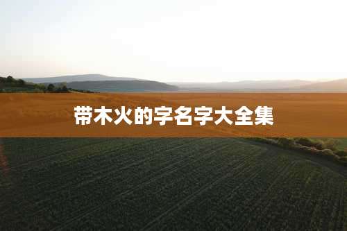 带木火的字名字大全集