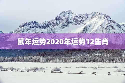 鼠年运势2020年运势12生肖