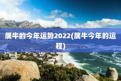 属牛的今年运势2022(属牛今年的运程)