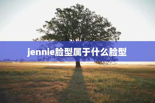 jennie脸型属于什么脸型