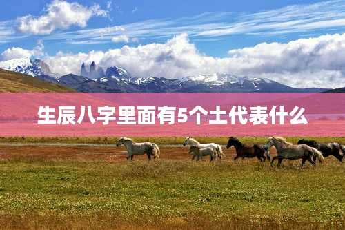 生辰八字里面有5个土代表什么