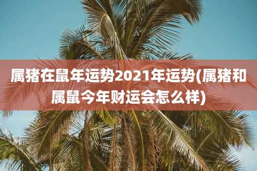 属猪在鼠年运势2021年运势(属猪和属鼠今年财运会怎么样)