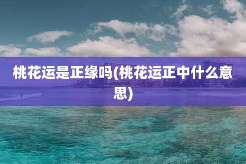 桃花运是正缘吗(桃花运正中什么意思)