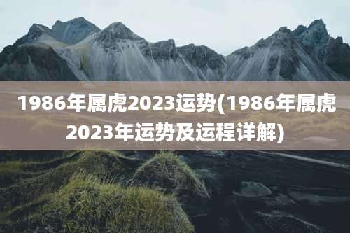 1986年属虎2023运势(1986年属虎2023年运势及运程详解)