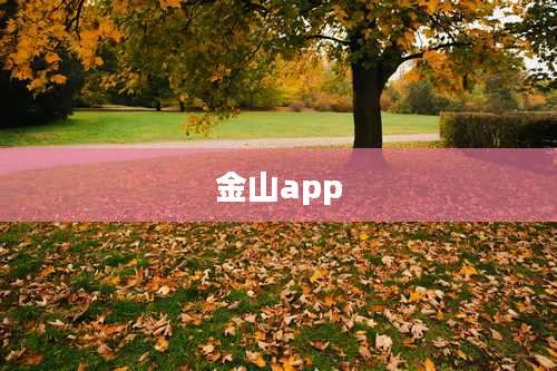 金山app