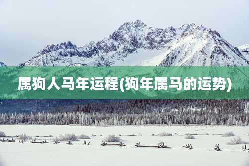属狗人马年运程(狗年属马的运势)