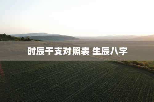 时辰干支对照表 生辰八字