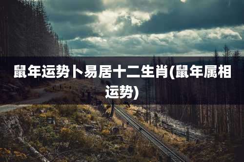 鼠年运势卜易居十二生肖(鼠年属相运势)