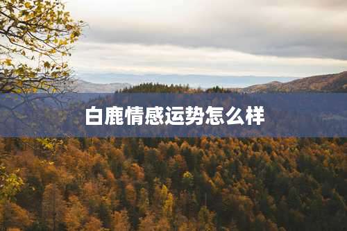 白鹿情感运势怎么样