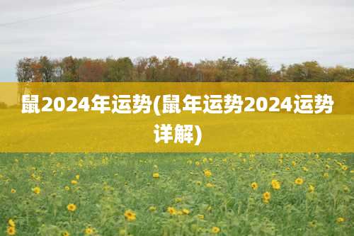 鼠2024年运势(鼠年运势2024运势详解)
