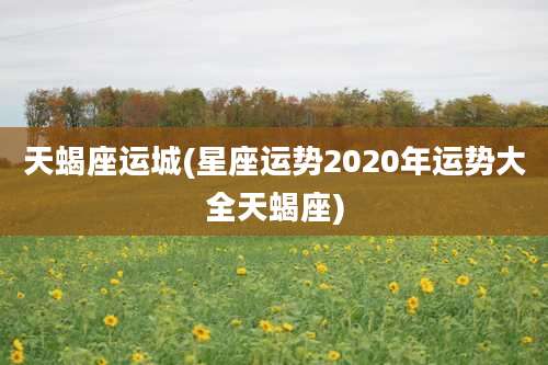 天蝎座运城(星座运势2020年运势大全天蝎座)
