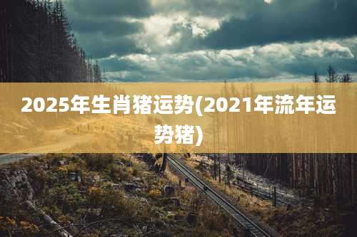 2025年生肖猪运势(2021年流年运势猪)