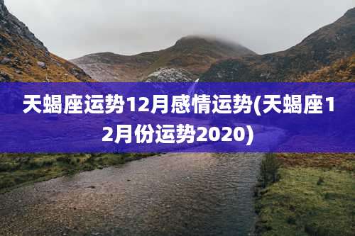 天蝎座运势12月感情运势(天蝎座12月份运势2020)