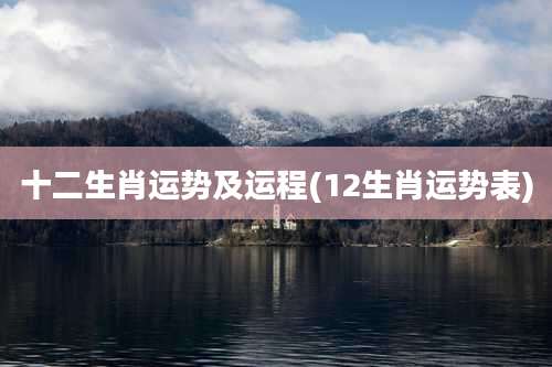 十二生肖运势及运程(12生肖运势表)
