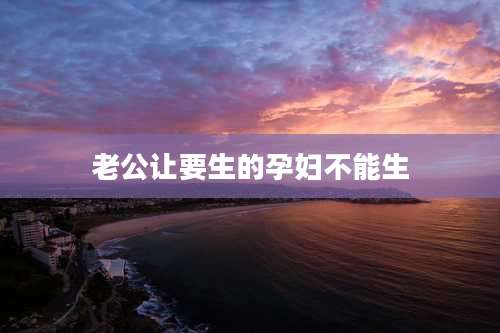 老公让要生的孕妇不能生