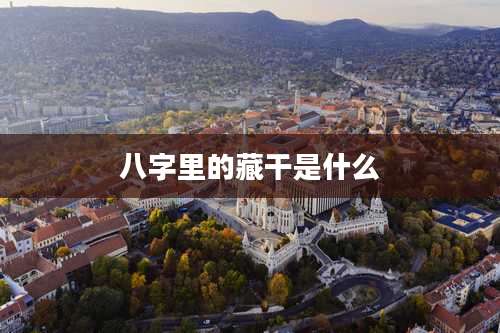 八字里的藏干是什么