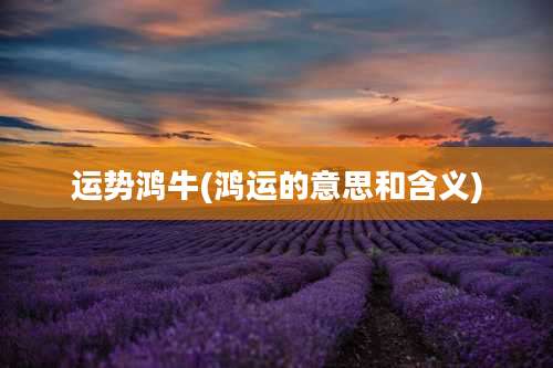 运势鸿牛(鸿运的意思和含义)