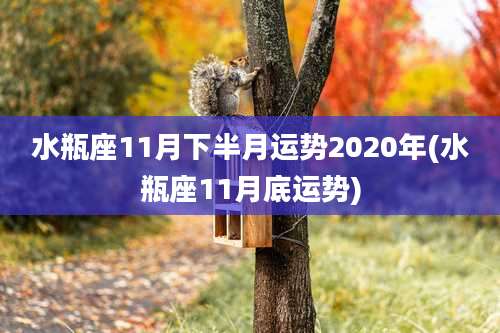 水瓶座11月下半月运势2020年(水瓶座11月底运势)