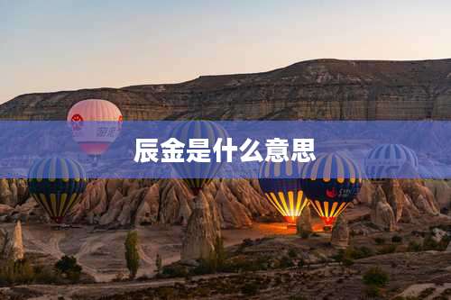 辰金是什么意思