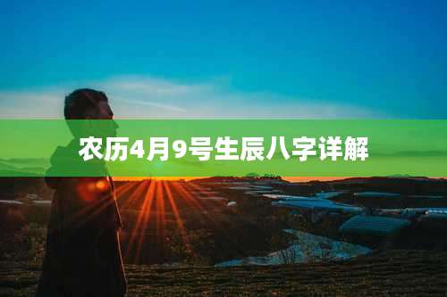 农历4月9号生辰八字详解
