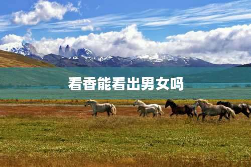 看香能看出男女吗