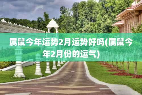 属鼠今年运势2月运势好吗(属鼠今年2月份的运气)