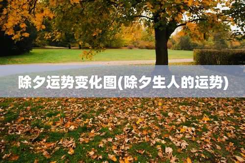 除夕运势变化图(除夕生人的运势)