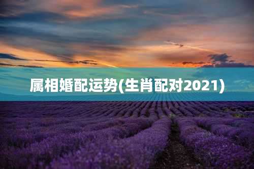 属相婚配运势(生肖配对2021)