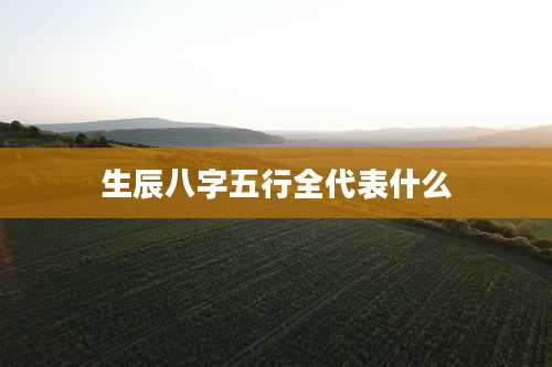生辰八字五行全代表什么