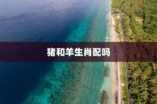 猪和羊生肖配吗