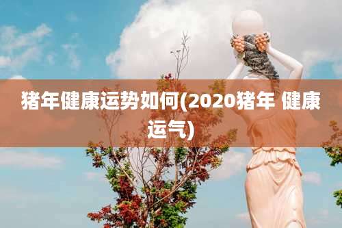 猪年健康运势如何(2020猪年 健康运气)