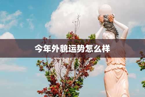 今年外貌运势怎么样