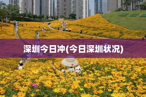 深圳今日冲(今日深圳状况)
