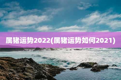 属猪运势2022(属猪运势如何2021)